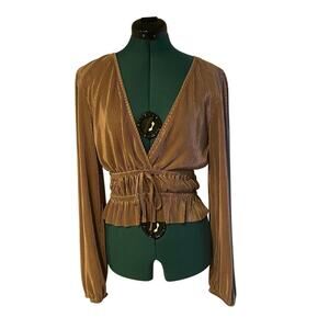 Zara Long Sleeve Champagne Pleated V Neck Holiday Metallic Blouse sz Medium